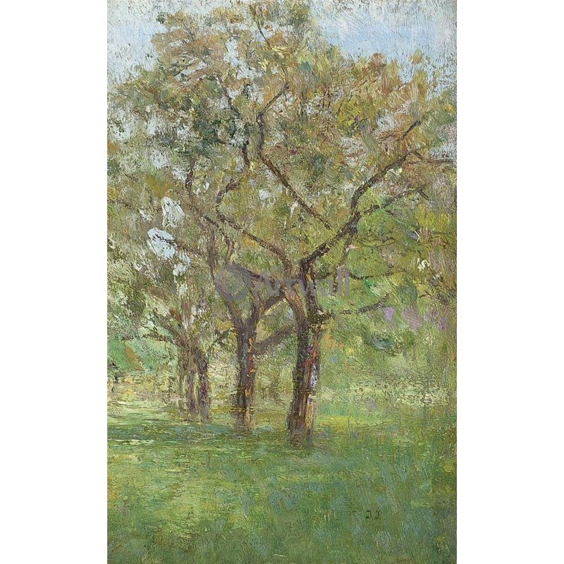 Яблони в саду в Жупиле