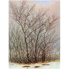 Картина на холсте по фото Модульные картины Печать портретов на холсте Деревья и кустарники на снегу