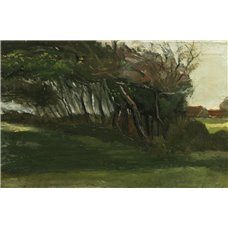 Картина на холсте по фото Модульные картины Печать портретов на холсте Деревья на ветру