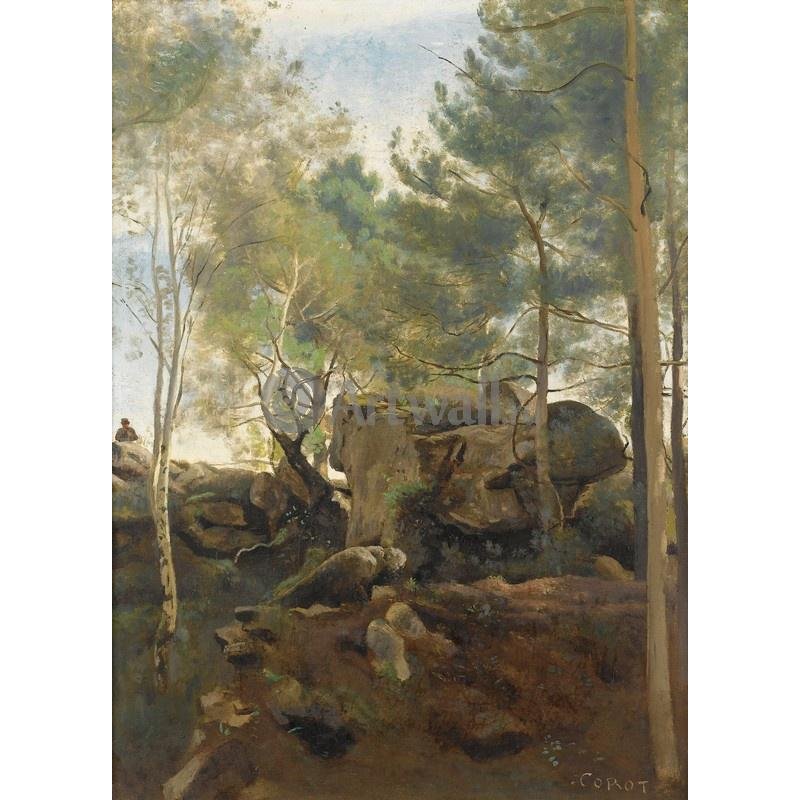 Фонтенбло, сосны и березы в скалах