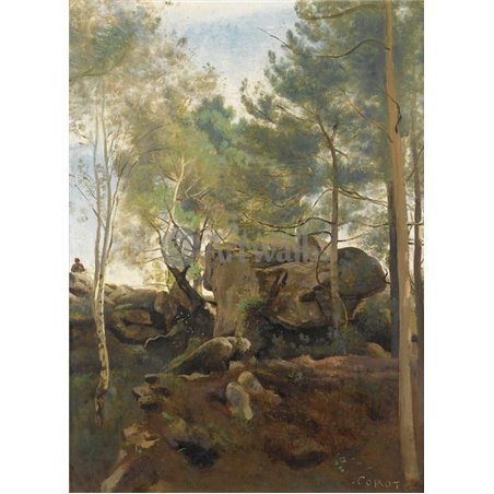 Фонтенбло, сосны и березы в скалах