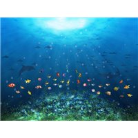 Портреты картины репродукции на заказ - Разноцветные рыбки - Фотообои Море|подводный мир