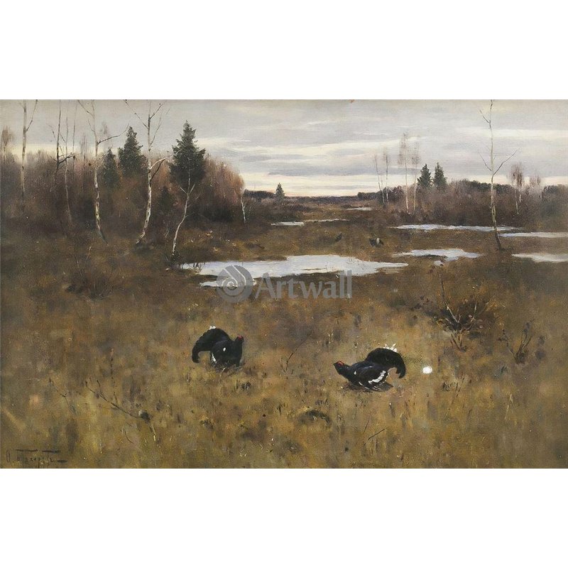 Тетерева