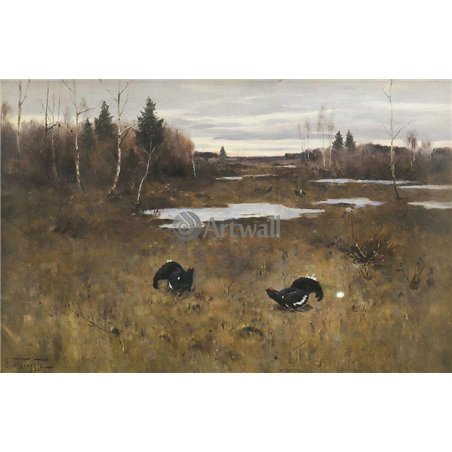 Тетерева