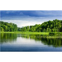 Лес вокруг озера - Фотообои природа|озера