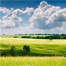 Картина на холсте по фото Модульные картины Печать портретов на холсте Облака над зеленым полем - Фотообои природа|поля
