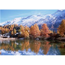 Картина на холсте по фото Модульные картины Печать портретов на холсте Отражение деревьев в озере - Фотообои горы