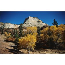 Картина на холсте по фото Модульные картины Печать портретов на холсте Деревья в скалах - Фотообои горы