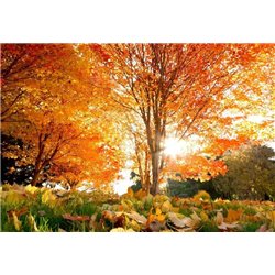 Осенний лес - Фотообои Закаты и рассветы - Модульная картины, Репродукции, Декоративные панно, Декор стен