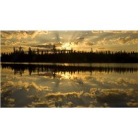 Закат в лесу - Фотообои Закаты и рассветы