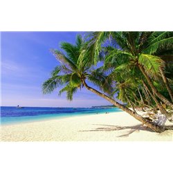 Пальмы на берегу моря - Фотообои Море|пляж - Модульная картины, Репродукции, Декоративные панно, Декор стен
