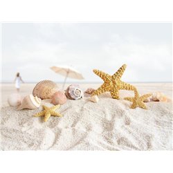 Ракушки и морские звезды - Фотообои Море|пляж - Модульная картины, Репродукции, Декоративные панно, Декор стен
