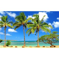 Пальмы на берегу моря - Фотообои Море|пляж - Модульная картины, Репродукции, Декоративные панно, Декор стен