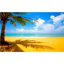 Пальма на берегу моря - Фотообои Море|пляж - Модульная картины, Репродукции, Декоративные панно, Декор стен