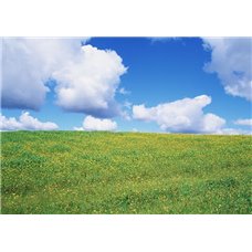 Картина на холсте по фото Модульные картины Печать портретов на холсте Зеленое поле - Фотообои Небо