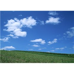 Облака над полем - Фотообои Небо - Модульная картины, Репродукции, Декоративные панно, Декор стен