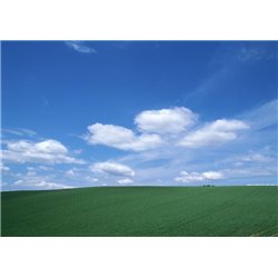 Облака над полем - Фотообои Небо - Модульная картины, Репродукции, Декоративные панно, Декор стен