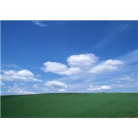 Портреты картины репродукции на заказ - Облака над полем - Фотообои Небо