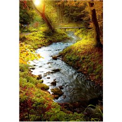 Ручей в лесу - Фотообои природа|осень - Модульная картины, Репродукции, Декоративные панно, Декор стен