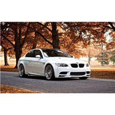 Картина на холсте по фото Модульные картины Печать портретов на холсте Белый автомобиль BMW - Фотообои Техника и транспорт|автомобили