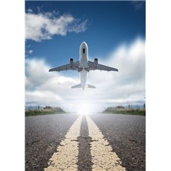 Самолет - Фотообои Техника и транспорт|самолёты - Модульная картины, Репродукции, Декоративные панно, Декор стен