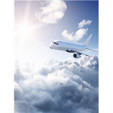 Картина на холсте по фото Модульные картины Печать портретов на холсте Самолет в облаках - Фотообои Техника и транспорт|самолёты