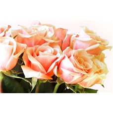 Картина на холсте по фото Модульные картины Печать портретов на холсте Букет роз - Фотообои цветы|розы