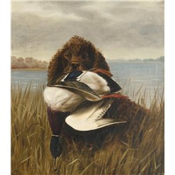Поуп Александр «Водный спаниэль»