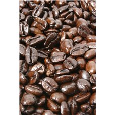 Картина на холсте по фото Модульные картины Печать портретов на холсте Кофейные зерна - Фотообои Еда и напитки|кофе