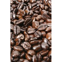 Кофейные зерна - Фотообои Еда и напитки|кофе