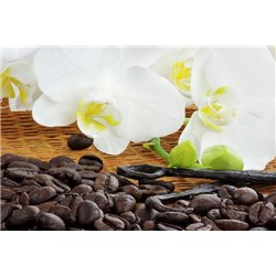 Кофе и орхидеи - Фотообои цветы|орхидеи - Модульная картины, Репродукции, Декоративные панно, Декор стен
