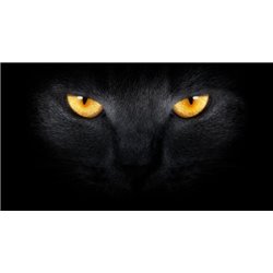 Черная кошка - Фотообои Животные|коты - Модульная картины, Репродукции, Декоративные панно, Декор стен