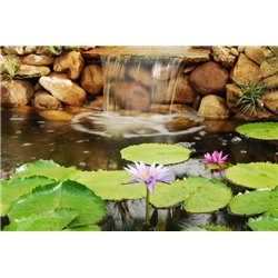 Водяные лилии - Фотообои природа|озера - Модульная картины, Репродукции, Декоративные панно, Декор стен