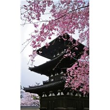 Картина на холсте по фото Модульные картины Печать портретов на холсте Китайский дом в ветвях - Фотообои Японские и просто сады
