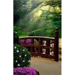 Сад на заре - Фотообои Японские и просто сады - Модульная картины, Репродукции, Декоративные панно, Декор стен
