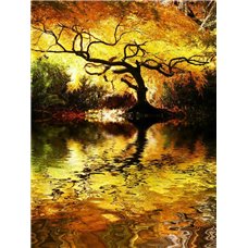 Картина на холсте по фото Модульные картины Печать портретов на холсте Золотая осень - Фотообои Японские и просто сады
