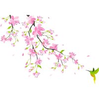 Розовые цветы - Фотообои цветы|цветущие деревья