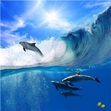 Картина на холсте по фото Модульные картины Печать портретов на холсте Дельфины - Фотообои Животные|морской мир