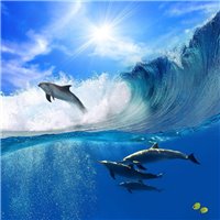 Портреты картины репродукции на заказ - Дельфины - Фотообои Животные|морской мир