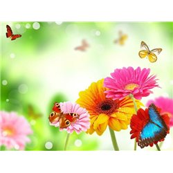 Бабочки и герберы - Фотообои цветы|герберы - Модульная картины, Репродукции, Декоративные панно, Декор стен
