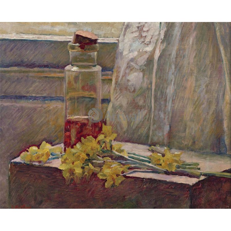 Нарциссы