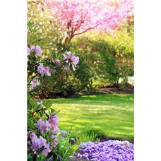 Картина на холсте по фото Модульные картины Печать портретов на холсте Цветы в саду - Фотообои Японские и просто сады