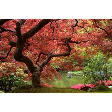 Картина на холсте по фото Модульные картины Печать портретов на холсте Осень в парке - Фотообои Японские и просто сады