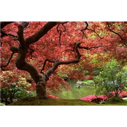Осень в парке - Фотообои Японские и просто сады - Модульная картины, Репродукции, Декоративные панно, Декор стен