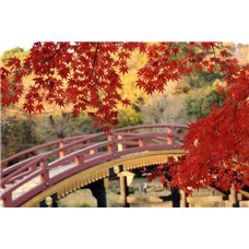 Картина на холсте по фото Модульные картины Печать портретов на холсте Красные листья на дереве - Фотообои Японские и просто сады