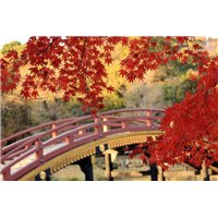 Портреты картины репродукции на заказ - Красные листья на дереве - Фотообои Японские и просто сады