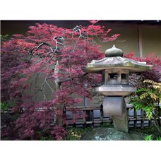 Картина на холсте по фото Модульные картины Печать портретов на холсте Сад в Японии - Фотообои Японские и просто сады