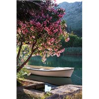 Лодка - Фотообои природа|реки
