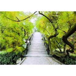 Мост в парке - Фотообои Японские и просто сады - Модульная картины, Репродукции, Декоративные панно, Декор стен