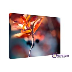 Осеннее дерево
